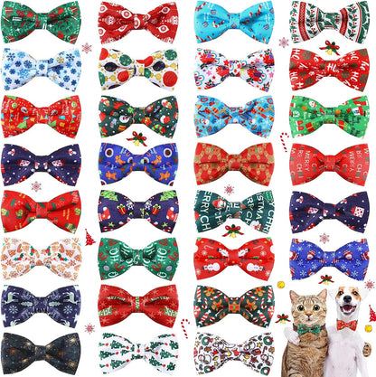 A domestic cat wearing the lightweight polyester Hawaiian pet bowtie in a colorful setting.