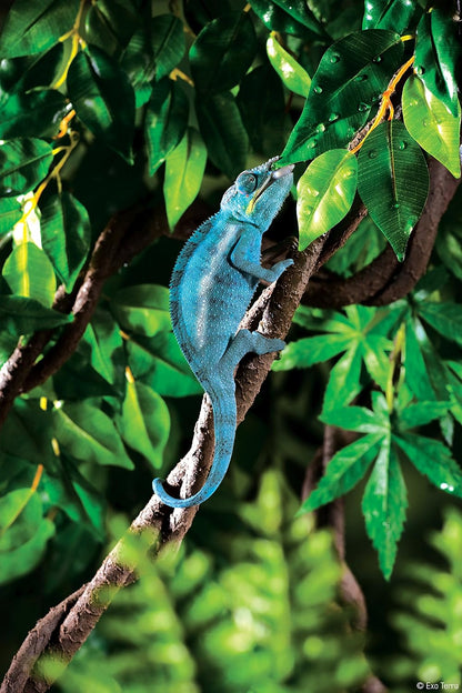 Flexible Exo Terra Jungle Vine twisted in a terrarium setup