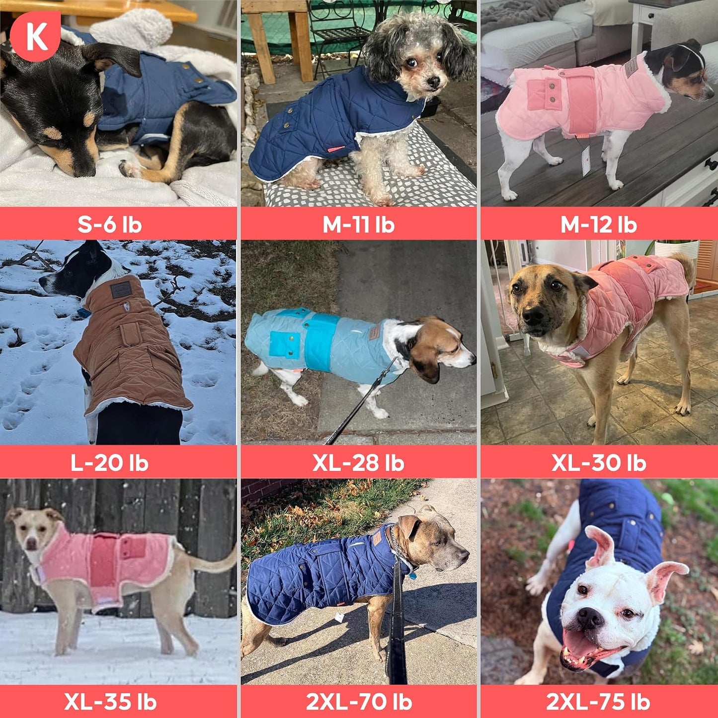 Large dog wearing blue Kyeese winter windproof jacket