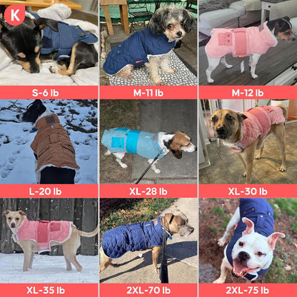 Large dog wearing blue Kyeese winter windproof jacket