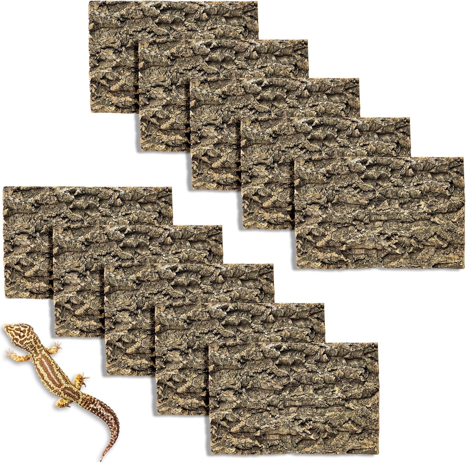 Gecko climbing on Fhiny natural cork bark background