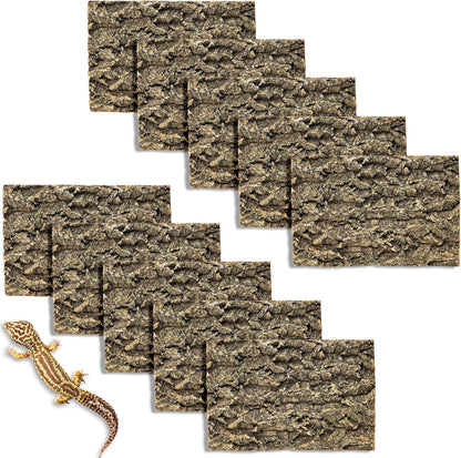 Gecko climbing on Fhiny natural cork bark background