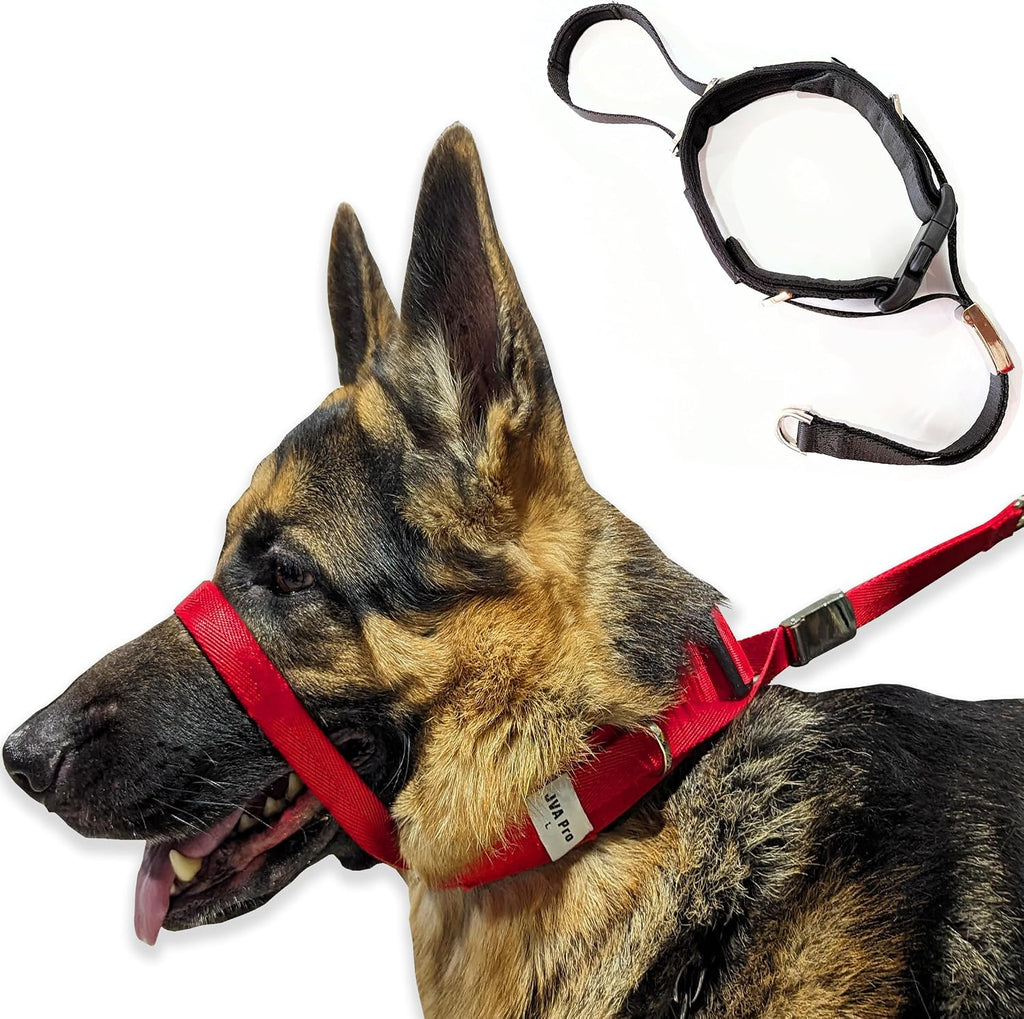 Pets ProMax dog headcollar red front view for reactive dogs
