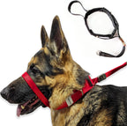 Pets ProMax dog headcollar red front view for reactive dogs