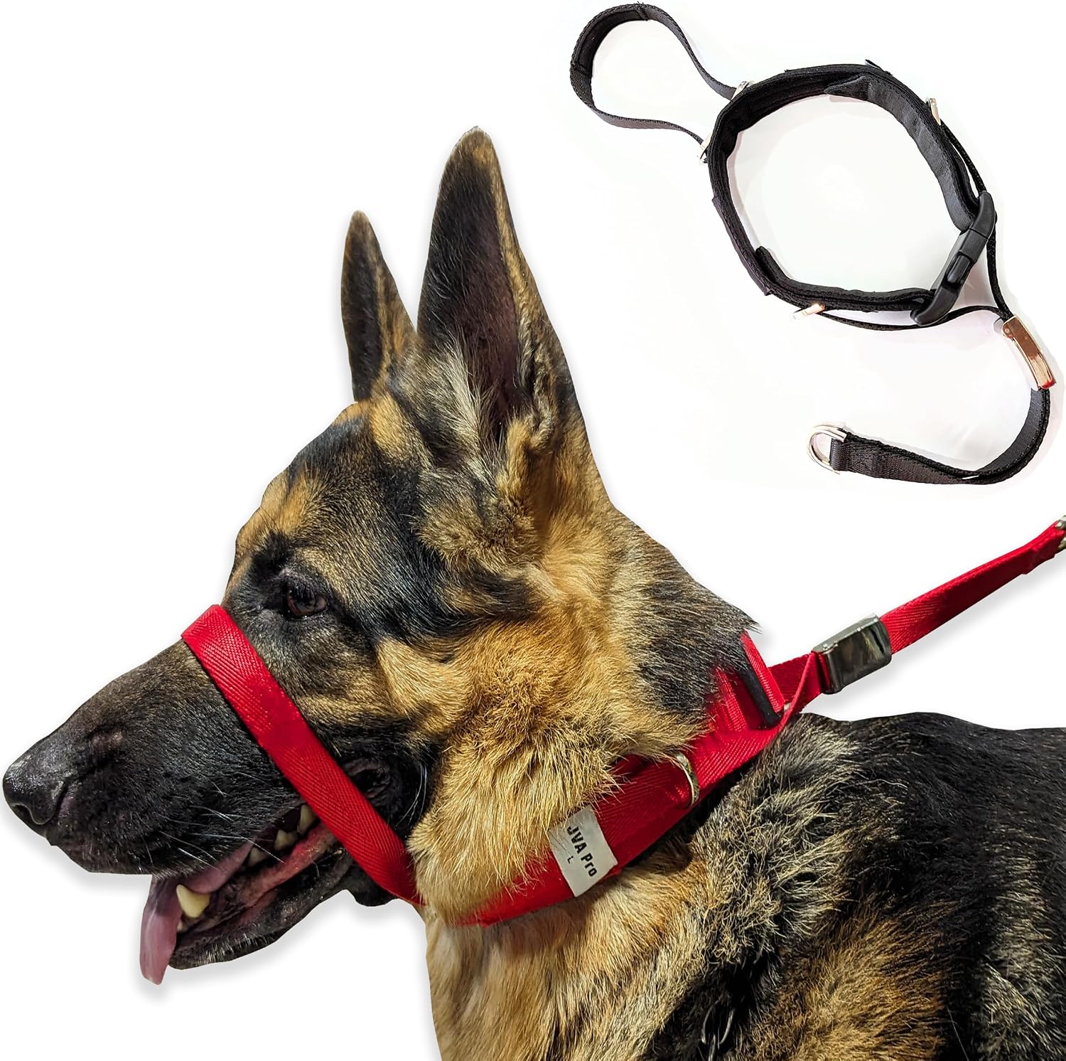 Pets ProMax dog headcollar red front view for reactive dogs