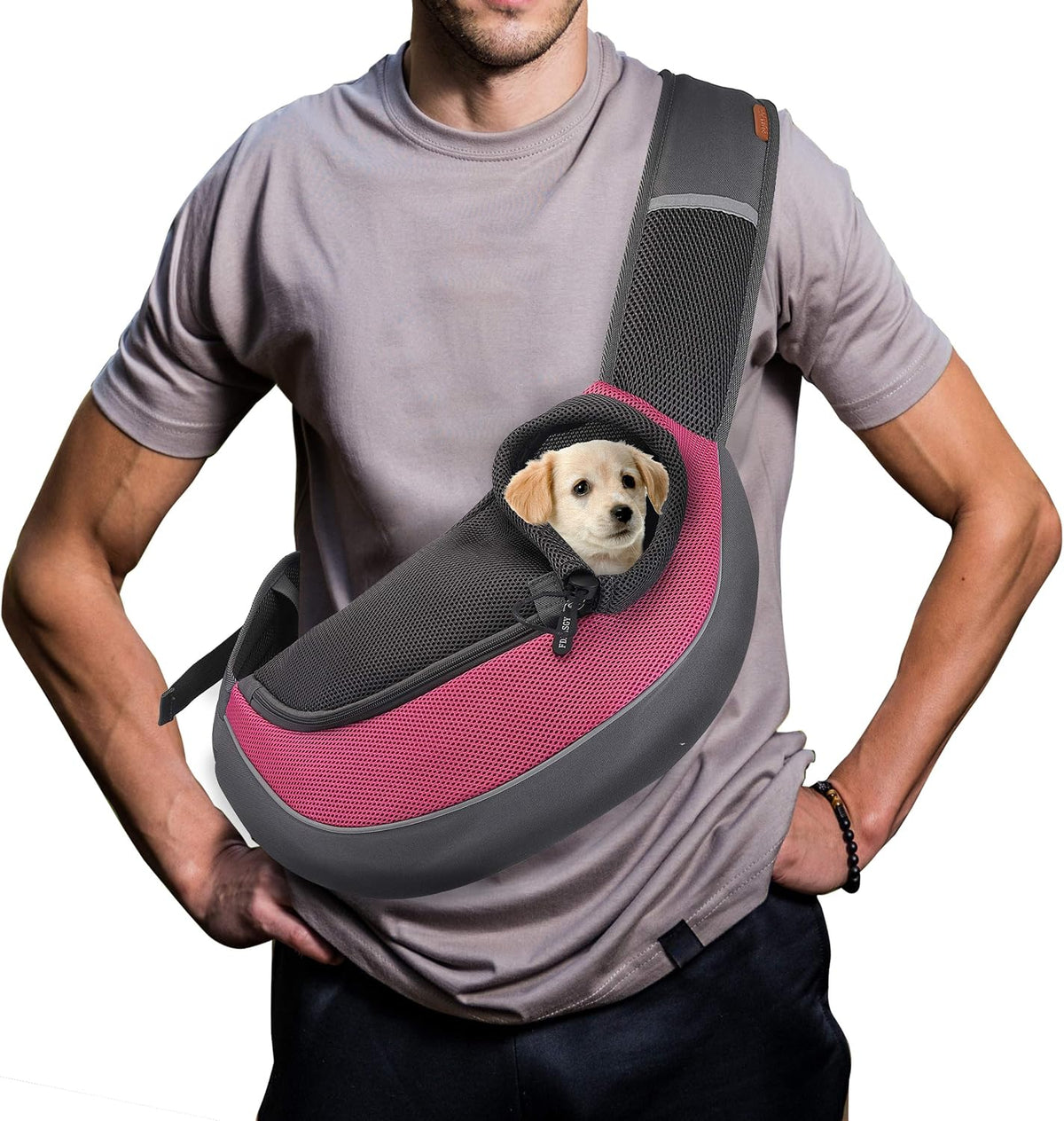 Folded pet travel carrier showing compact storage size