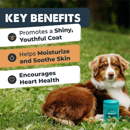 Mighty Paw dog fish oil soft chews skin and coat supplement