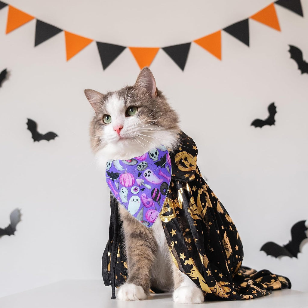Two pack Halloween themed cat collars with charms