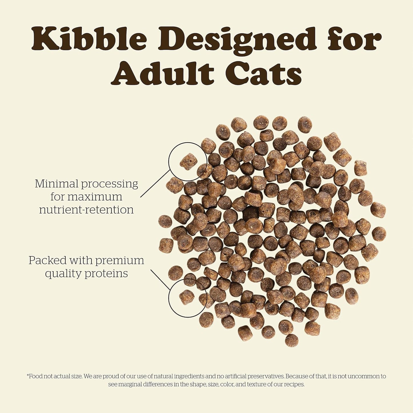Now Fresh grain free adult cat food for digestive health