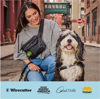 Cleverpup dual functional crossbody sling bag for puppy training rewards