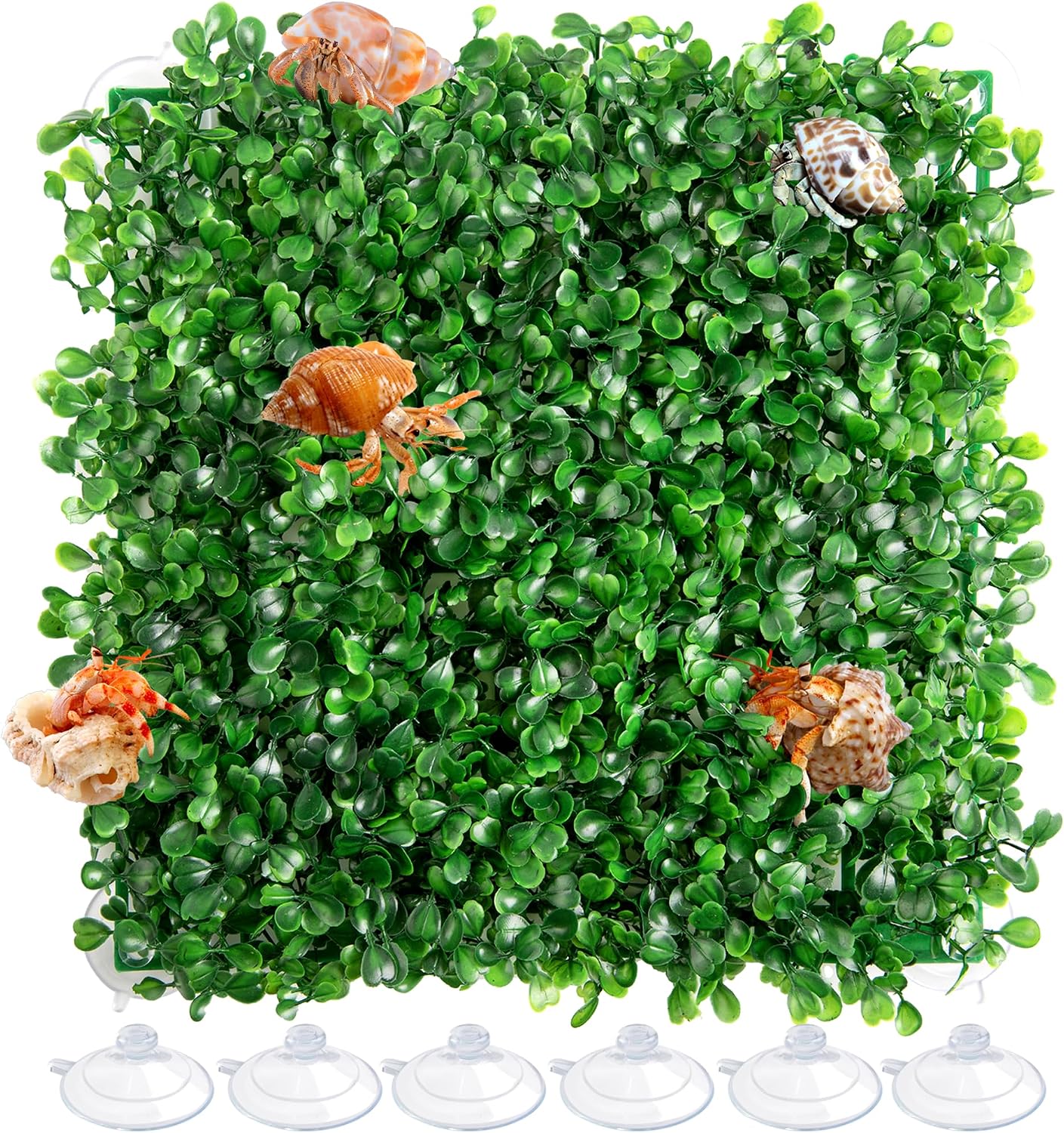 Orchidleaf hermit crab climbing toy front view 10x10 inch