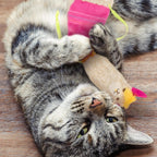 SmartyKat Leggy Llama catnip kicker toy packaging and full length view