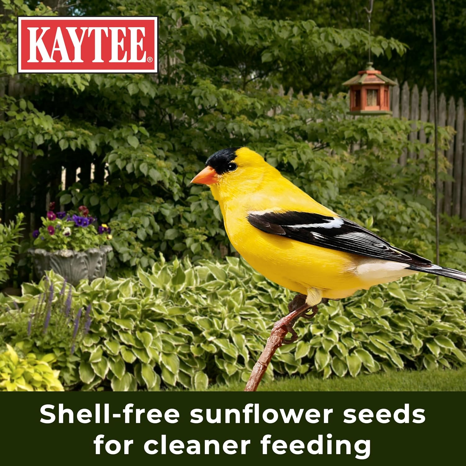 Clean patio area under a bird feeder using Kaytee no mess seeds