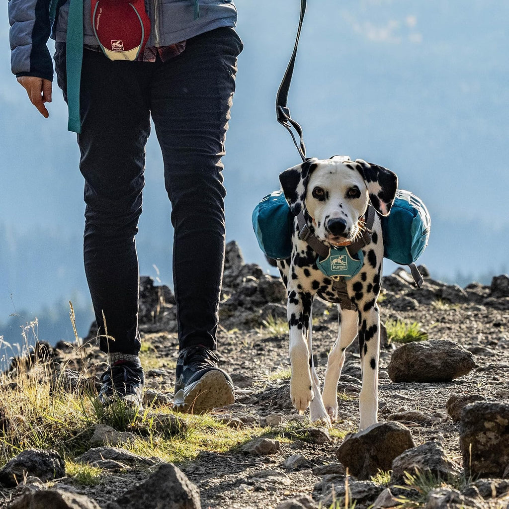 Large dog pack showing eight adjustment points for custom fitting