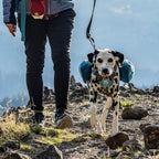 Large dog pack showing eight adjustment points for custom fitting