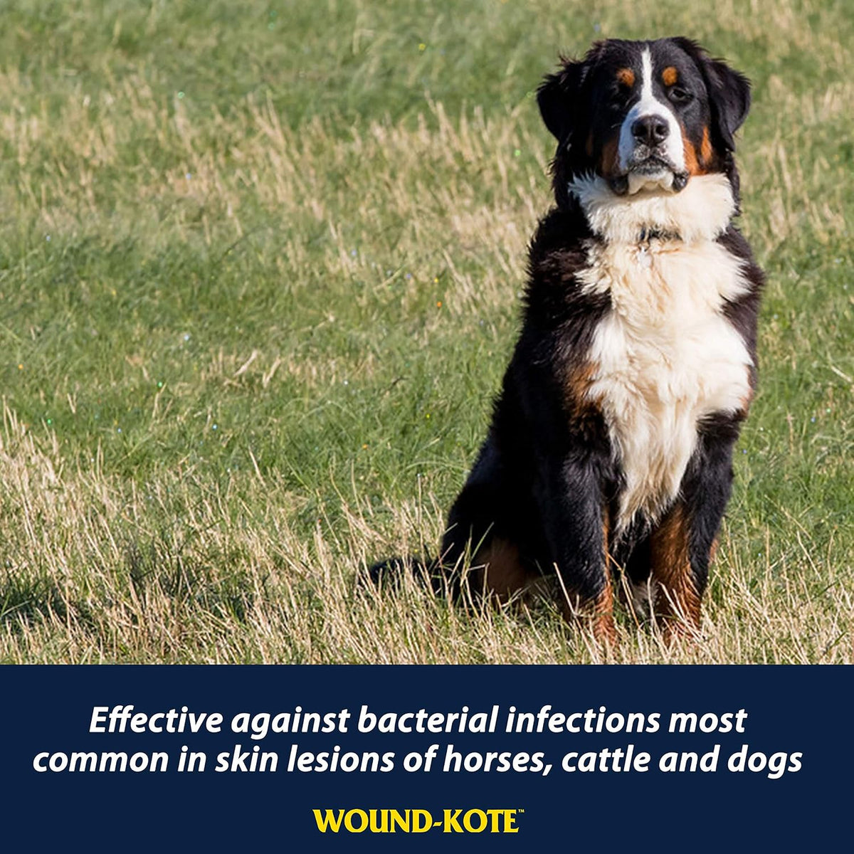 Directions for use label on Farnam Wound-Kote blue spray