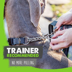 Medium grey martingale collar showing the heavy duty stainless steel chain loop.