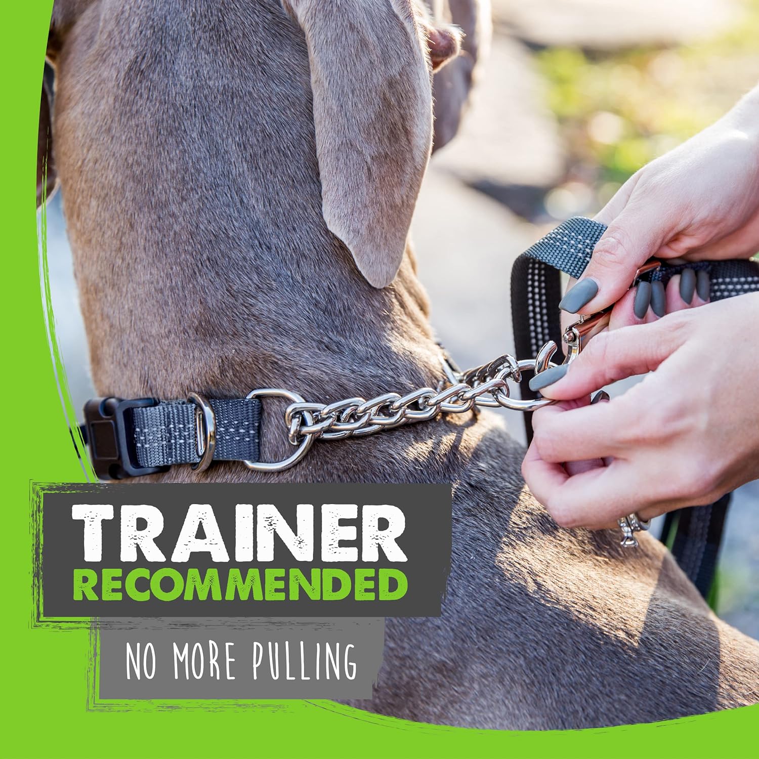 Medium grey martingale collar showing the heavy duty stainless steel chain loop.
