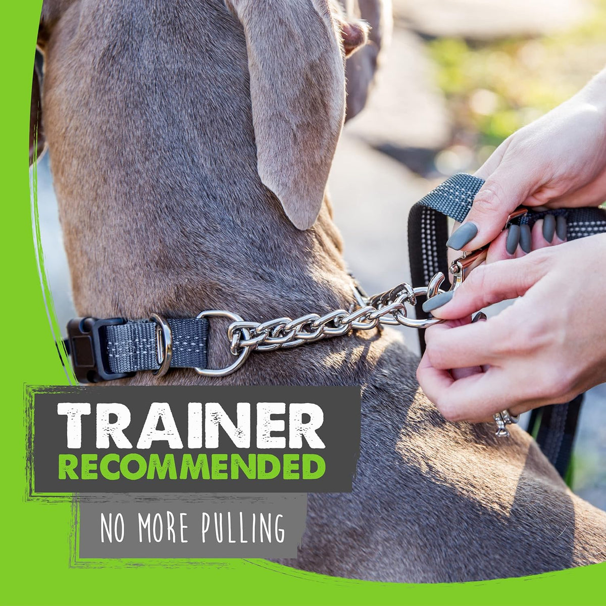 Medium grey martingale collar showing the heavy duty stainless steel chain loop.