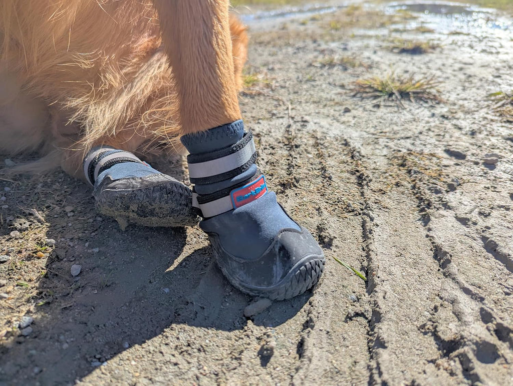 Close up of Bark Brite dog shoe toe and heel guard
