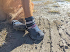 Close up of Bark Brite dog shoe toe and heel guard