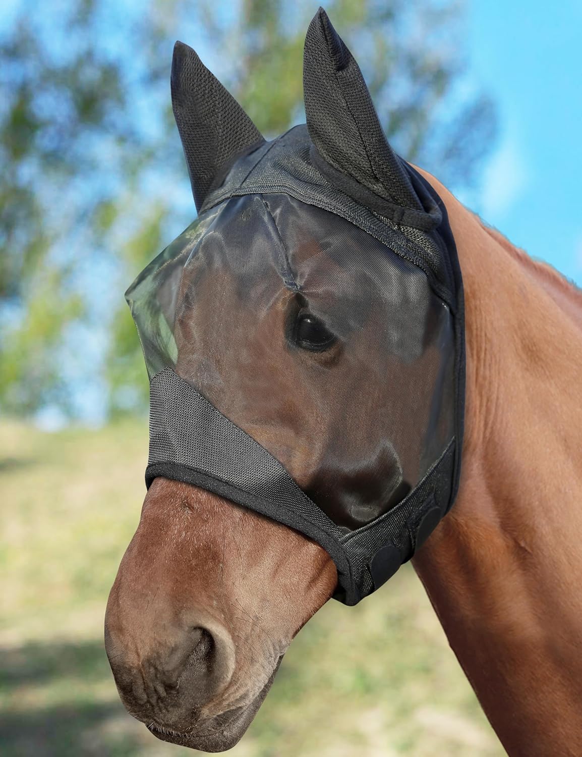 Close up of breathable fine mesh equine fly mask showing eye dart design