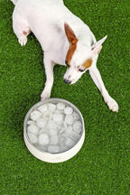 Dishwasher safe BPA free premium pet bowl packaging and branding.