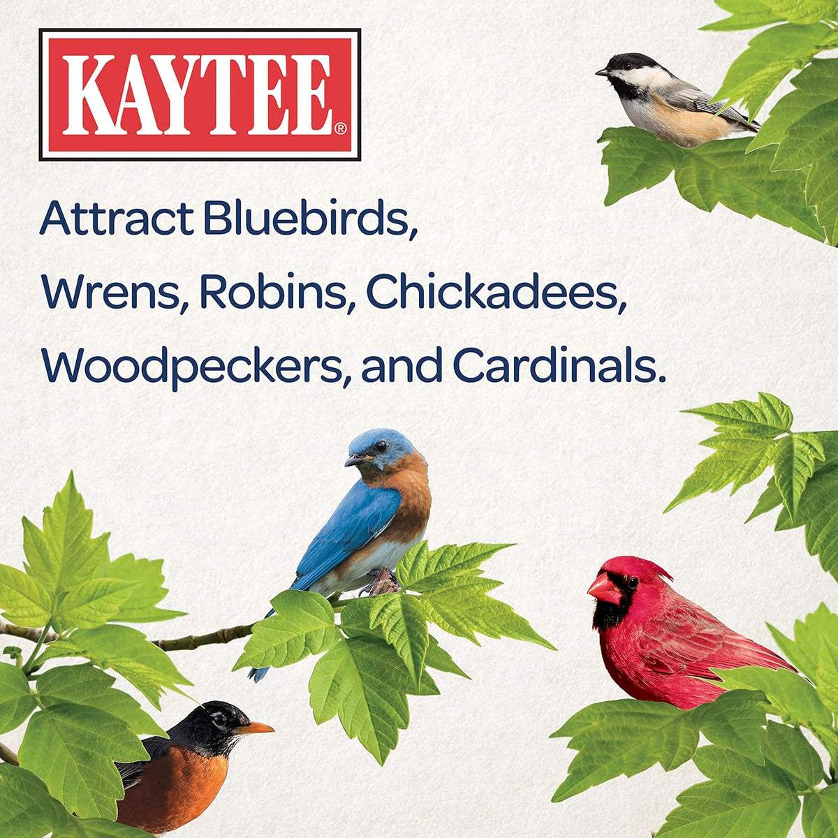 Backyard bird feeder filled with Kaytee mealworms