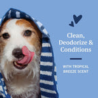 PetArmor imported pet shampoo for tick control close up