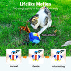 Zeepet multi speed automatic cat toy package contents including clip and rope.