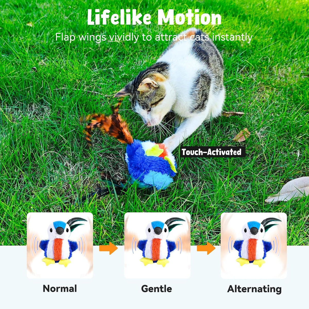 Zeepet multi speed automatic cat toy package contents including clip and rope.