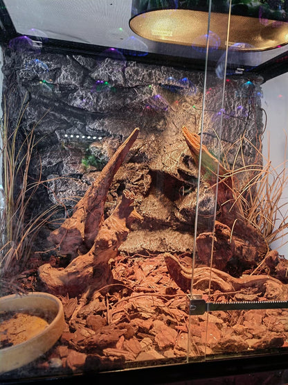 Side profile of Woledoe terrarium decor with stable base