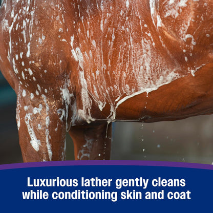 Farnam Vetrolin Body Wash lathering action for horses and dogs
