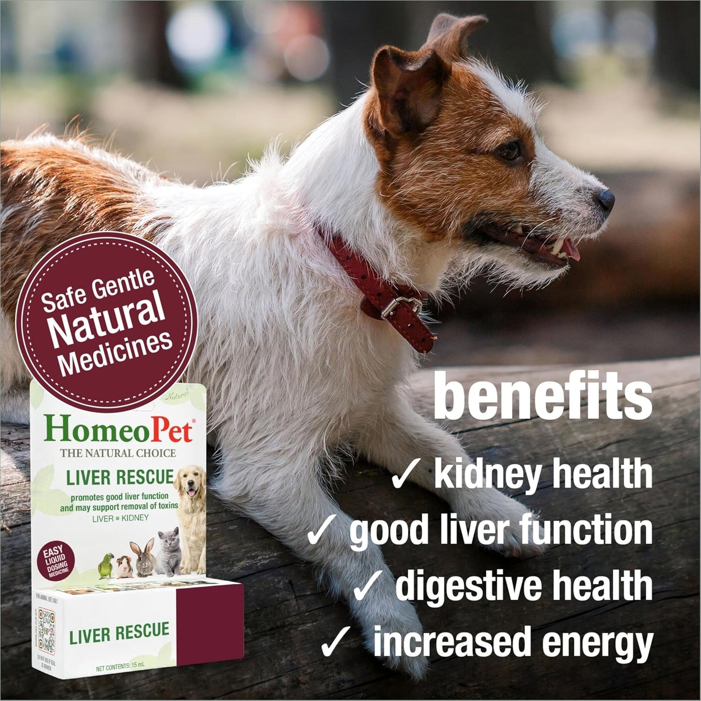HomeoPet Liver support homeopathic drops packaging detail for dogs and cats