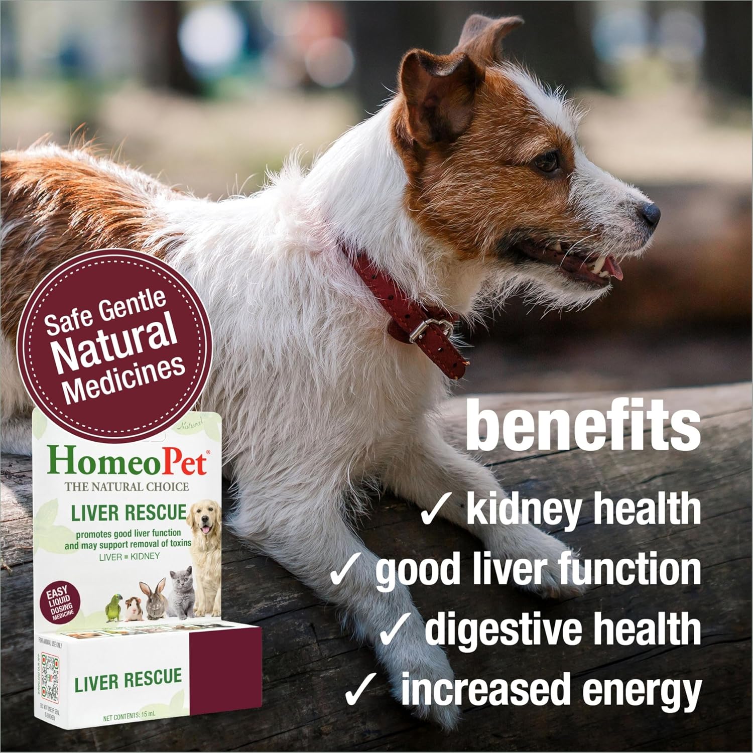 HomeoPet Liver support homeopathic drops packaging detail for dogs and cats