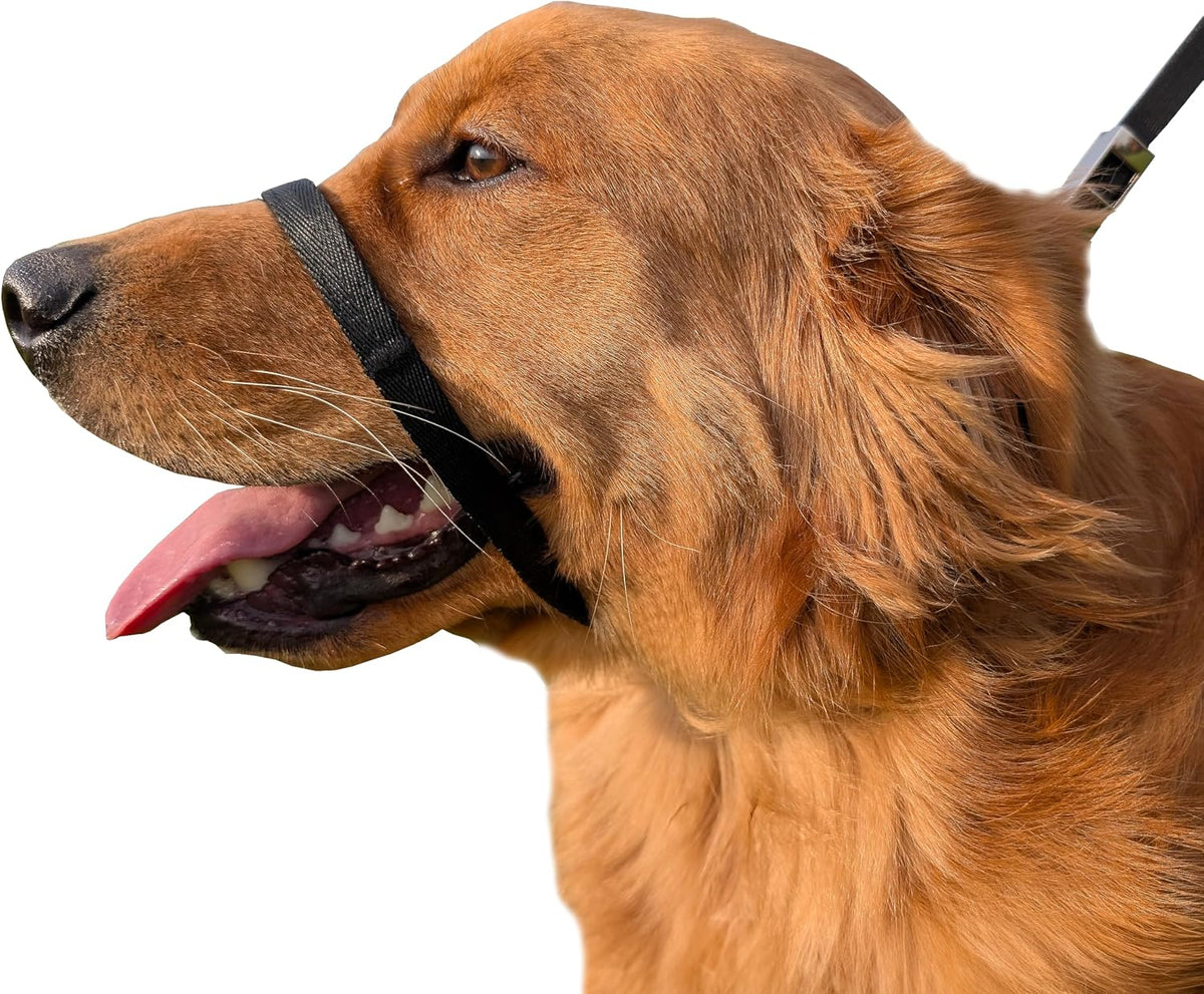 Pets ProMax no-pull dog headcollar black front view for large dogs