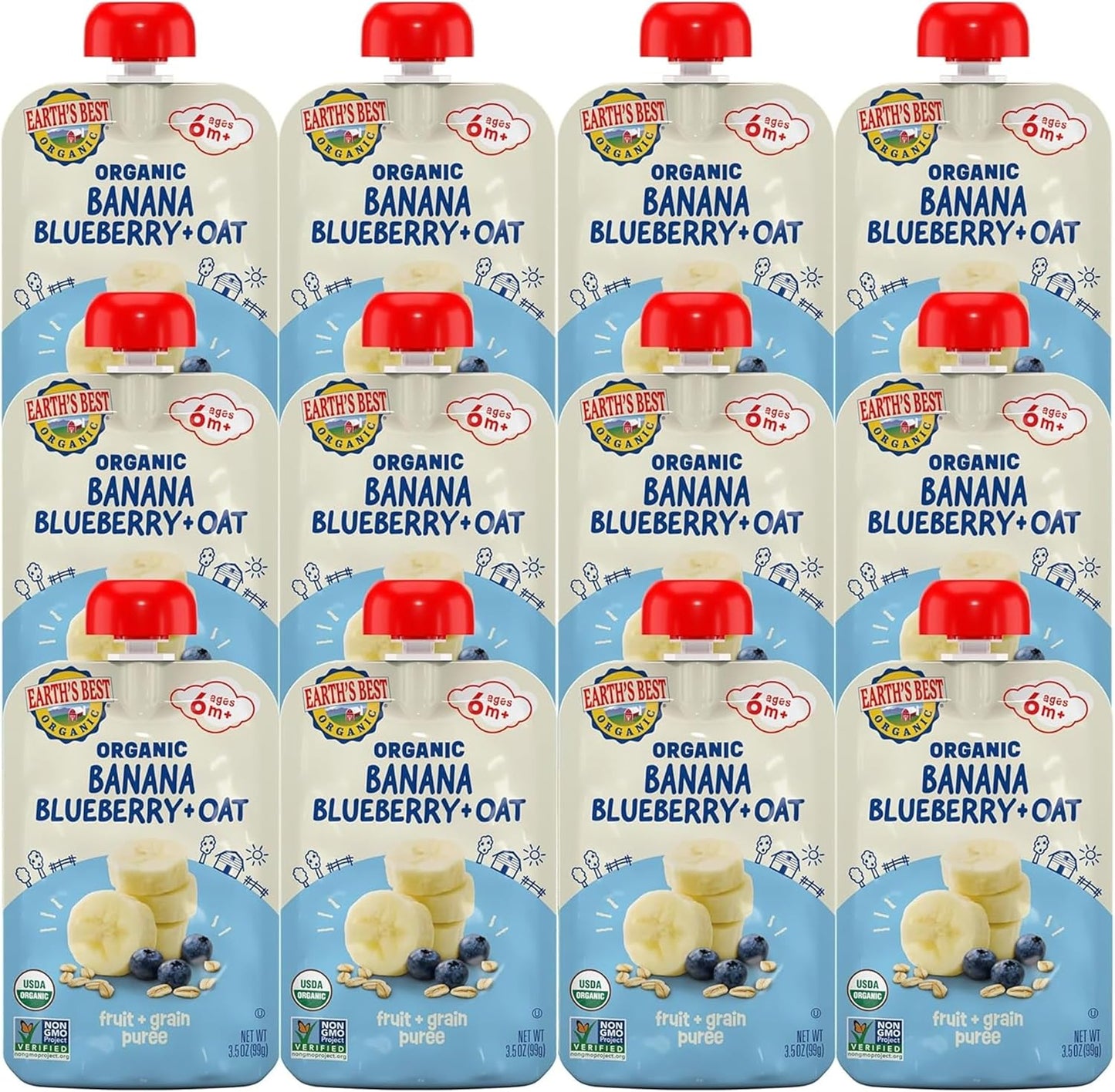 Earth's Best Organic Banana Blueberry and Oat baby food pouch front view.