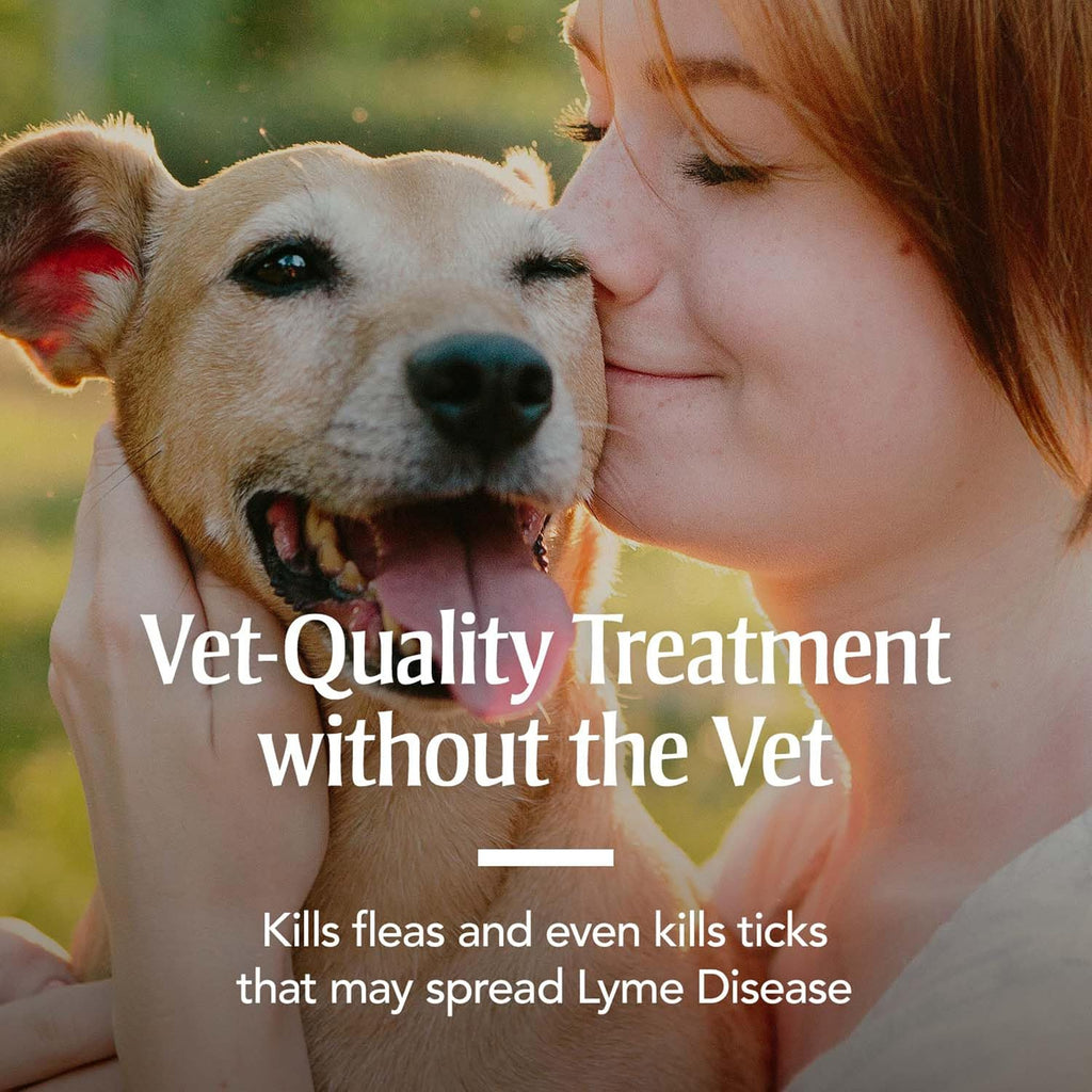 Fipronil flea and tick solution for large dogs application instructions