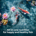 Kaytee Koi's Choice Premium Floating Fish Food 10 Pound Bag front view