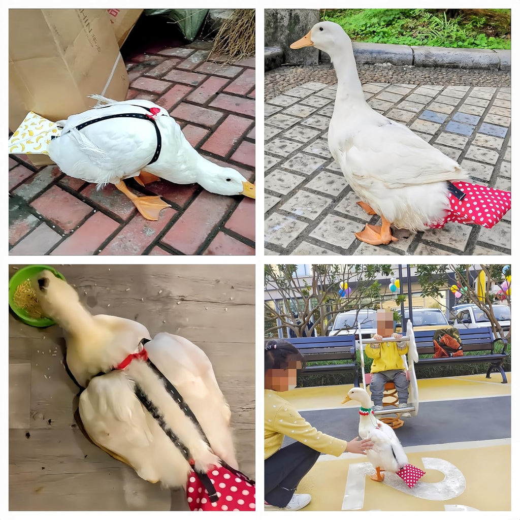 2 Pack Chicken Diapers for Hens, Roosters, Diapers for Ducks, Ducklings, Reusable Pet Diaper with Bow Ties Waterproof Poultry Nappies for Geese Pet Ducks,Red Polka Dots&Banana,L - Image 8