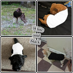 Side view of pet wearing solid color dog vest