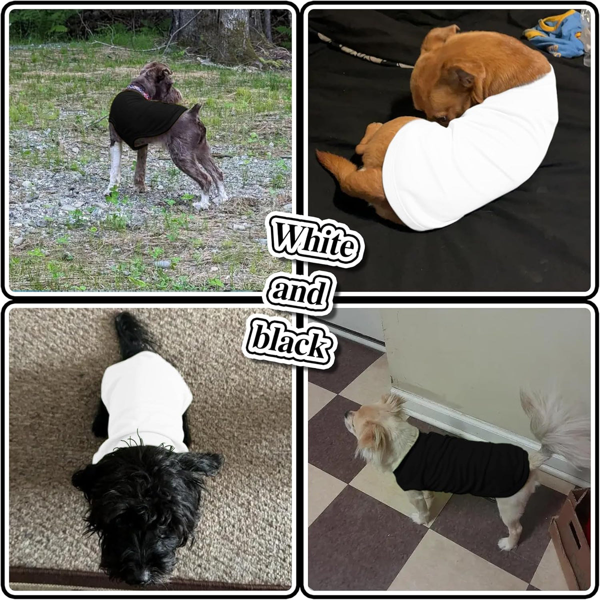 Side view of pet wearing solid color dog vest