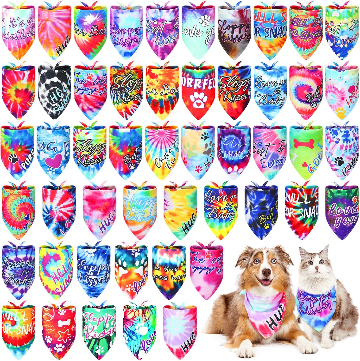 Dog wearing vibrant triangle Adopt Me pet accessory