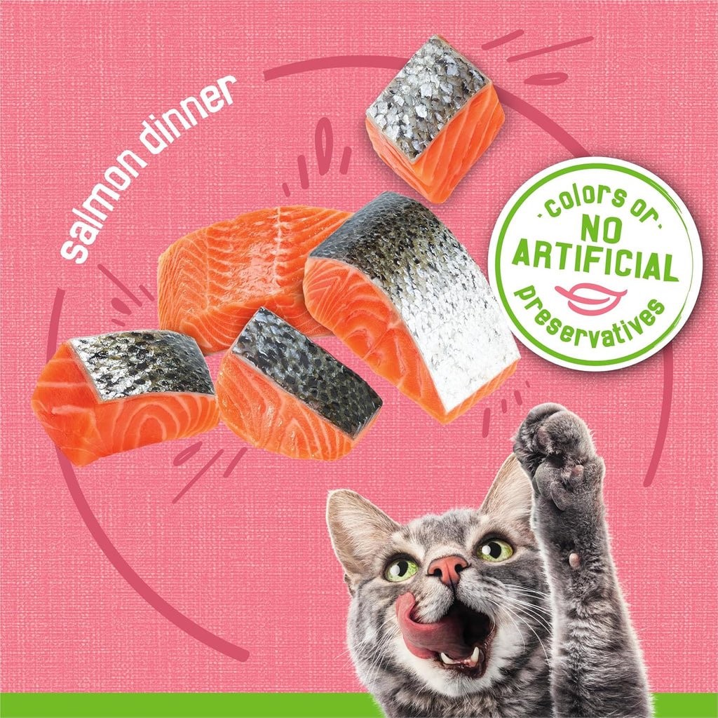 Close-up shot of smooth salmon paté cat food served inside a ceramic bowl