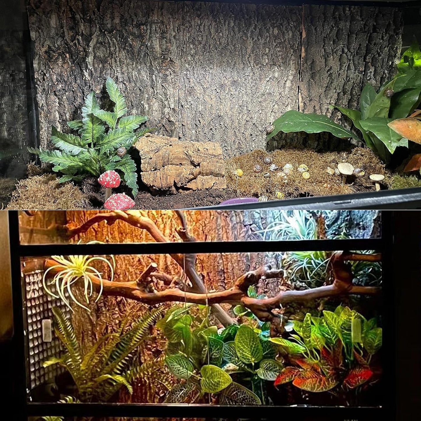 Side profile of the Tfwadmx natural wood reptile backdrop showing panel thickness and authentic details.