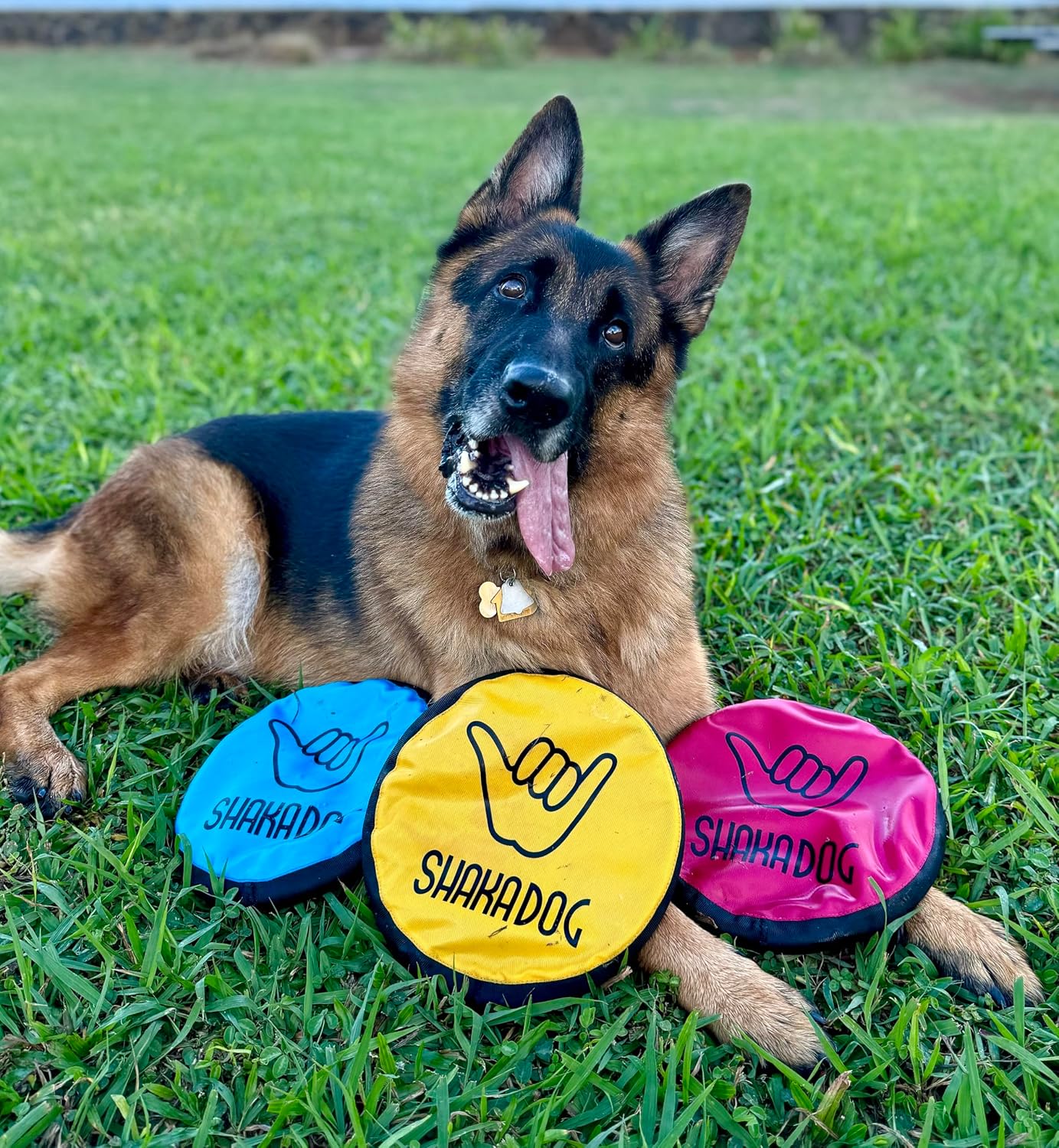 Side profile of 9 inch Shaka ZippyToss fetch toy