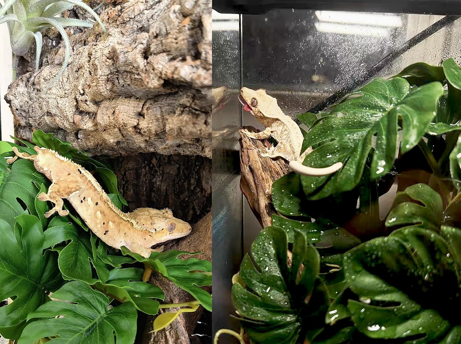 Artificial reptile vines with suction cups for snake tanks