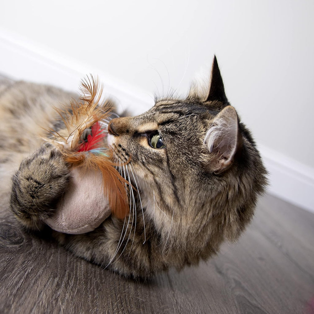 Close-up of natural feathers on the SmartyKat electronic cat toy