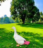 2 Pack Chicken Diapers for Hens, Roosters, Diapers for Ducks, Ducklings, Reusable Pet Diaper with Bow Ties Waterproof Poultry Nappies for Geese Pet Ducks,Red Polka Dots&Banana,L - Image 5