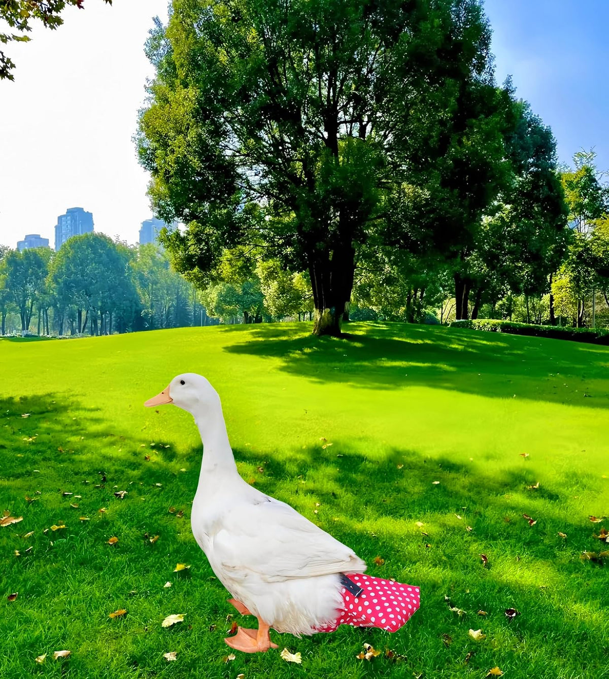 2 Pack Chicken Diapers for Hens, Roosters, Diapers for Ducks, Ducklings, Reusable Pet Diaper with Bow Ties Waterproof Poultry Nappies for Geese Pet Ducks,Red Polka Dots&Banana,L - Image 5